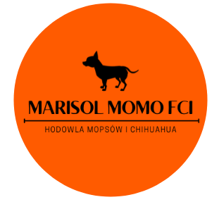 marisol MOMO FCI logo